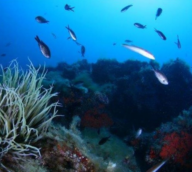 Scopri la bellezza del mare 